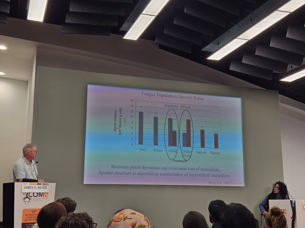 Kadri Koorem tweet media
