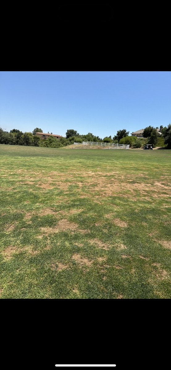 SlowTheGame's tweet image. Watching your corporate owned mid tier descend into low tier hell with no member cap, no cart fees and no dues for six months for new members.  #slowthegame