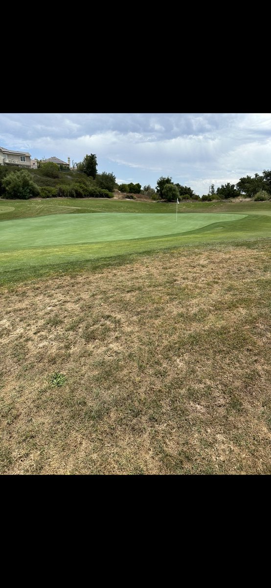 SlowTheGame's tweet image. Watching your corporate owned mid tier descend into low tier hell with no member cap, no cart fees and no dues for six months for new members.  #slowthegame