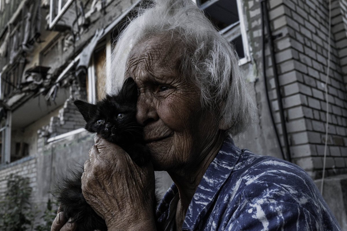 Sean Sutton tweet media