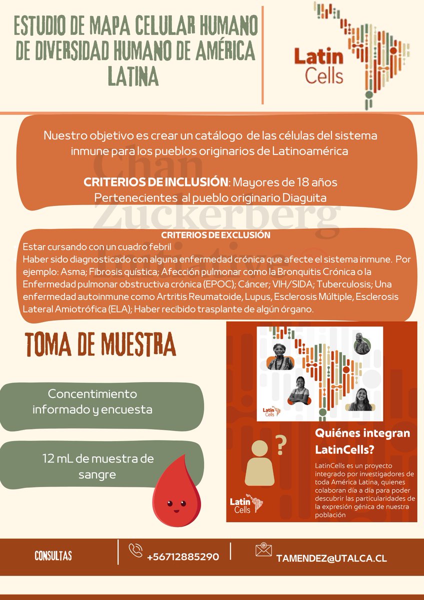 Tamara Méndez tweet media