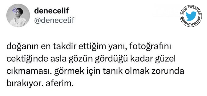 10/10 Tweetler tweet media