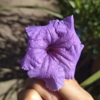 #NouvellePhotoDeProfil