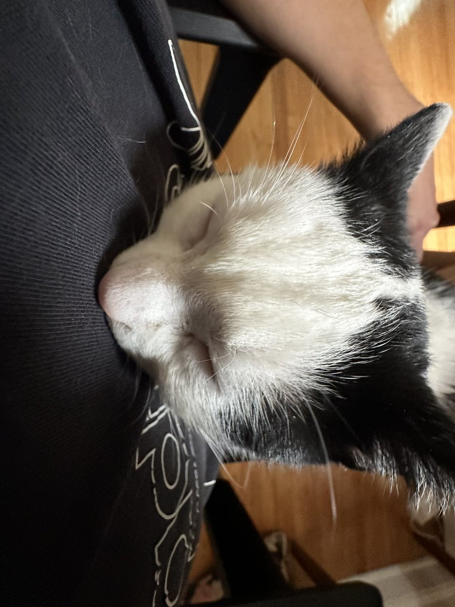 zyafai896's tweet photo. why is she sleeping like this 😭 https://t.co/t692gaZEpU