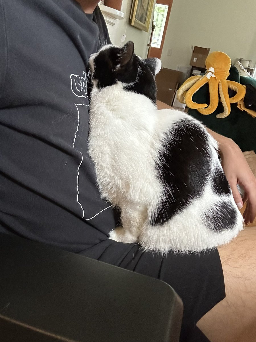 zyafai896's tweet photo. why is she sleeping like this 😭 https://t.co/t692gaZEpU