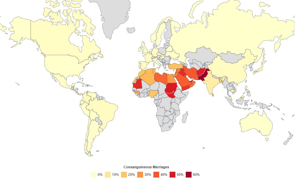 "There's no incest in the Middle East"