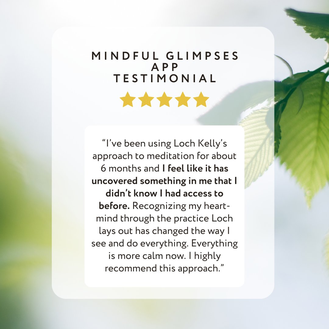 Loch Kelly tweet media