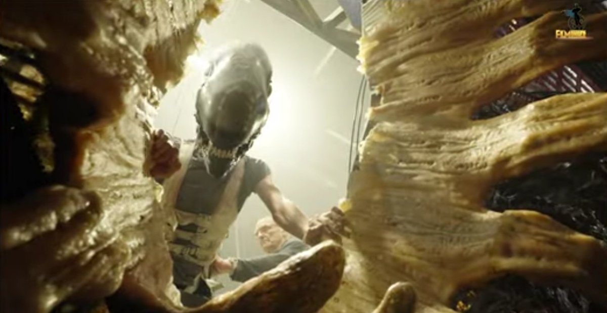 Lo de #AlienRomulus y las criaturas totalmente creadas con trajes y animatrónicos, le da un plus totalmente espectacular.
Independientemente del resto, esos efectos prácticos van a ser una de las cosas más atractivas de esta nueva entrega.