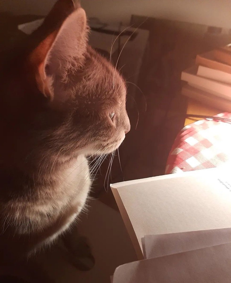 Gününüz kutlu olsun 🍒😘