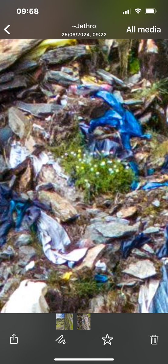 Robbie Blackhall-Miles (@fossilplants) on Twitter photo This is a gulley on #YrWyddfa #Snowdon. The alpine plants are growing over the plastic rubbish @teambmc <a href="/trashfreetrails/">Trash Free Trails</a> <a href="/Snowdonia_Soc/">Cymdeithas Eryri / Snowdonia Society</a> @apceryri <a href="/SnowdonRailway/">Snowdon Mountain Railway / Rheilffordd yr Wyddfa</a> <a href="/rawadventures/">Kama</a> & I (with <a href="/Love_plants/">Plantlife</a> #naturambyth) are going to clean it up. Fancy helping? Link in linktree in bio This is a gulley on #YrWyddfa #Snowdon. The alpine plants are growing over the plastic rubbish @teambmc <a href="/trashfreetrails/">Trash Free Trails</a> <a href="/Snowdonia_Soc/">Cymdeithas Eryri / Snowdonia Society</a> @apceryri <a href="/SnowdonRailway/">Snowdon Mountain Railway / Rheilffordd yr Wyddfa</a> <a href="/rawadventures/">Kama</a> & I (with <a href="/Love_plants/">Plantlife</a> #naturambyth) are going to clean it up. Fancy helping? Link in linktree in bio