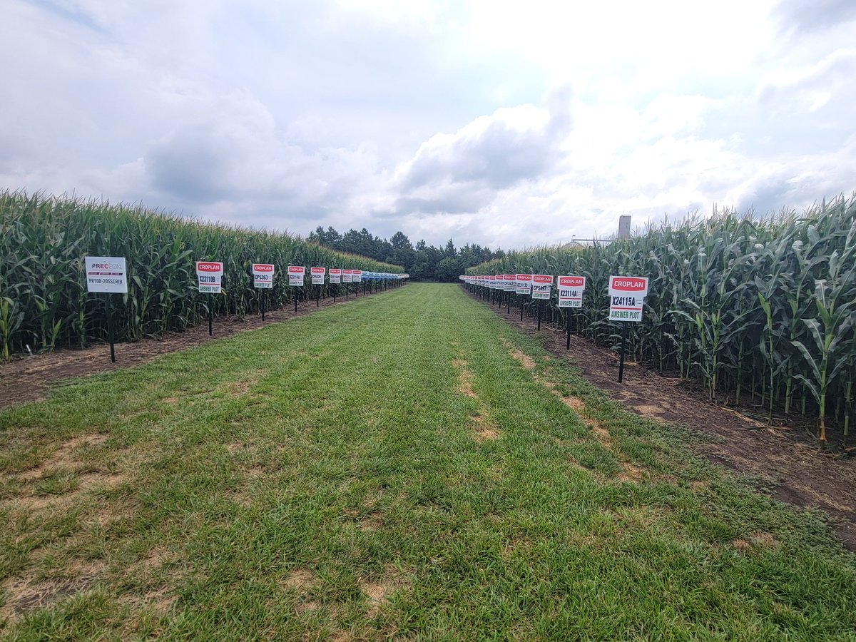 AJ Tomky tweet media