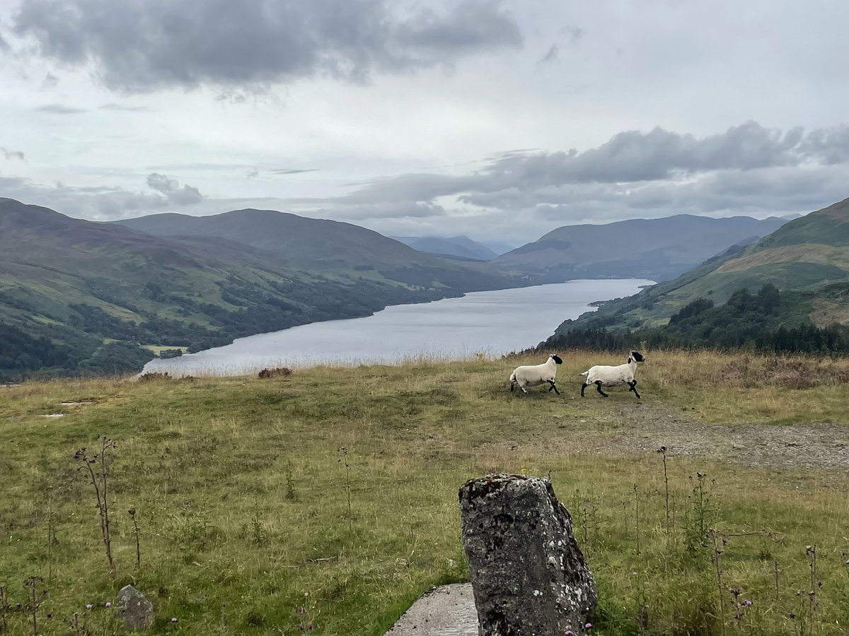 Ben04f's tweet photo. Breathtaking run this morning up by Loch Earn. Loving @komoot - excellent GPS guiding and navigation #Highlands #RunningCommunity https://t.co/IKkU2bCcx0