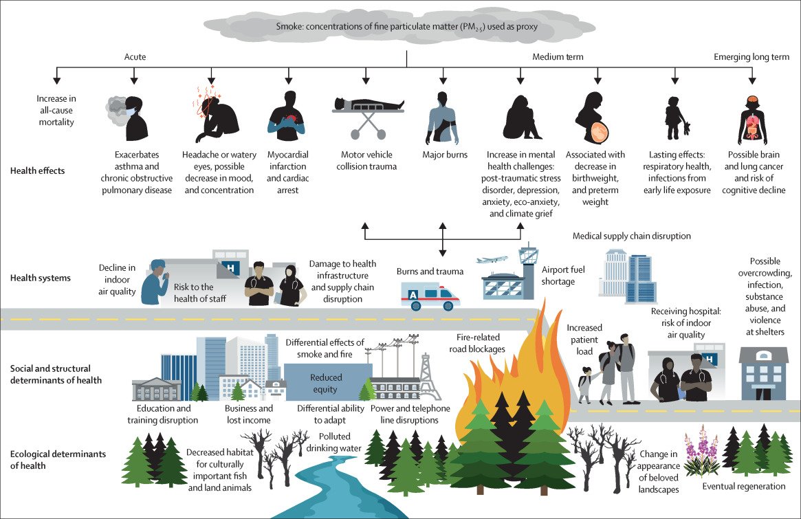 Robb Barnes 🇨🇦 (@robb_barnes) on Twitter photo Important image from an important new paper from <a href="/courtghoward/">Dr Courtney Howard</a> + others - on preparing health systems for wildfires. 
Sadly, all too timely for friends in the west and north right now, and for the rest of us sooner than we'd like. 
Article: thelancet.com/journals/lanpl…
<a href="/CAPE_ACME/">@CAPE-ACME</a> Important image from an important new paper from <a href="/courtghoward/">Dr Courtney Howard</a> + others - on preparing health systems for wildfires. 
Sadly, all too timely for friends in the west and north right now, and for the rest of us sooner than we'd like. 
Article: thelancet.com/journals/lanpl…
<a href="/CAPE_ACME/">@CAPE-ACME</a>