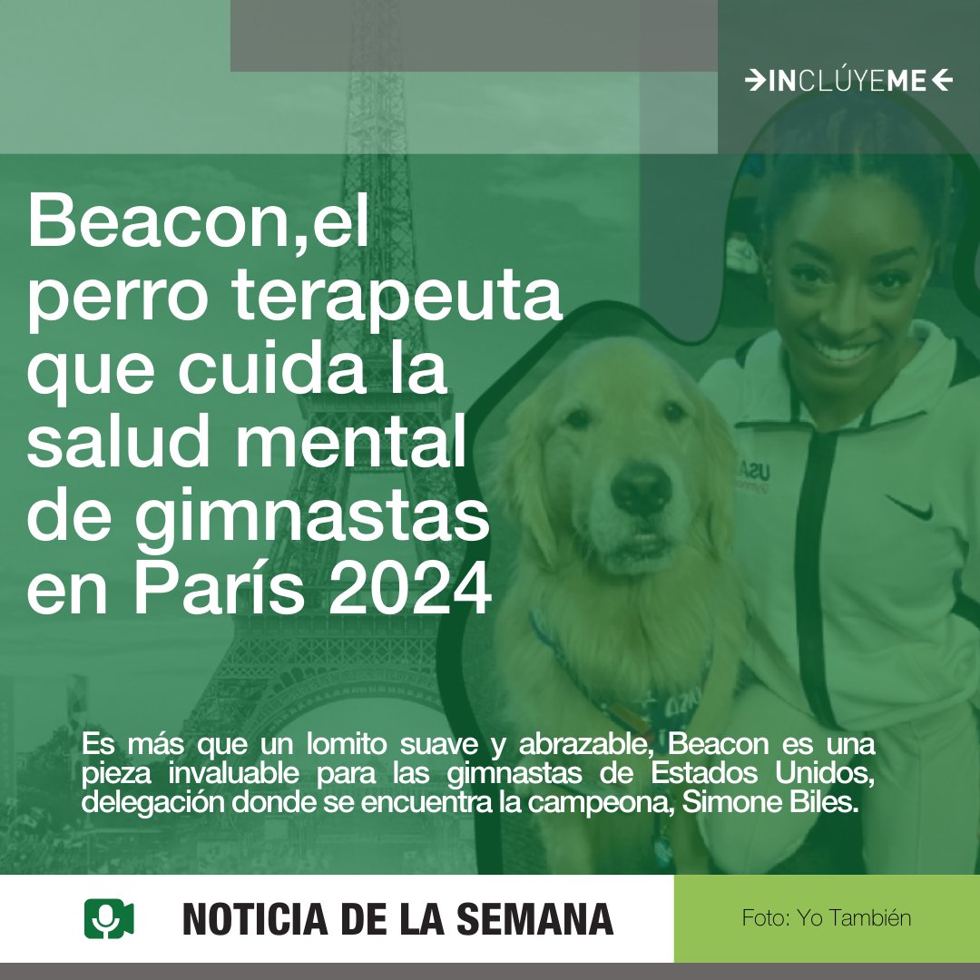 Es más que un lomito suave y abrazable, Beacon es una pieza invaluable para las gimnastas de Estados Unidos, delegación donde se encuentra la campeona, Simone Biles.

Conoce la historia completa en el siguiente link:
yotambien.mx/actualidad/par…