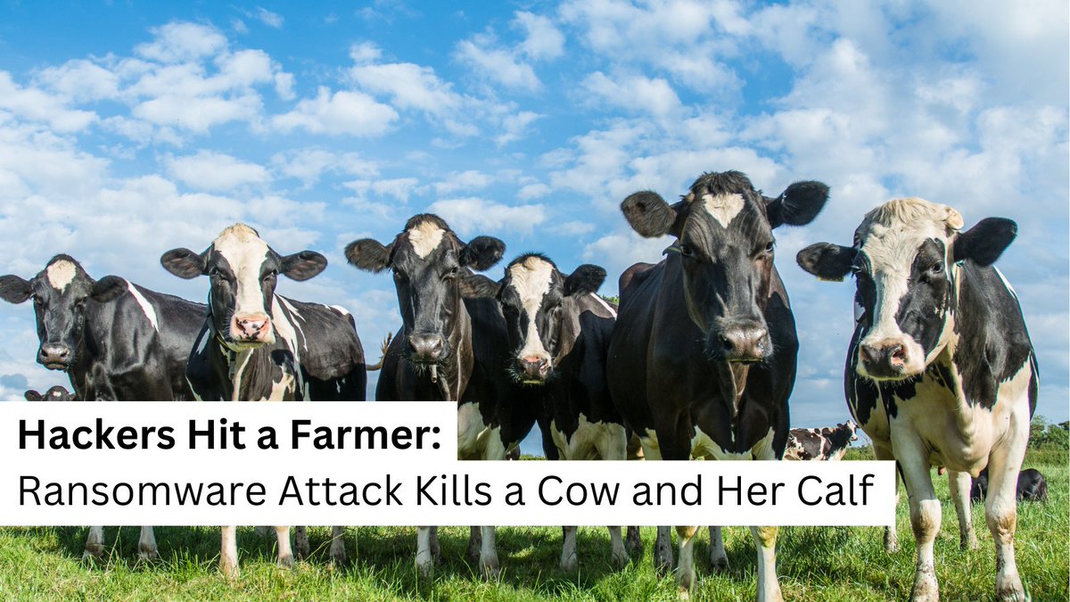 H4ckmanac's tweet photo. A #Ransomware Attack Killed a Cow and Her Calf.

In the Swiss canton of Zug, a ransomware attack on a farmer's computer systems, including a milking robot, resulted in the death of a cow and her calf. 

The cybercriminals demanded 10,000 Swiss Francs ($10,800) for decryption, but the farmer chose not to pay. 

Although the milking robot continued functioning without the network connection, the farmer could not access vital data, leading to the delayed detection of the cow's distress. The monetary damage, excluding the ransom, amounted to over €6,400.

Read more:
https://t.co/aktorqZj5r

#CyberAttack #CyberSecurity #Hack
