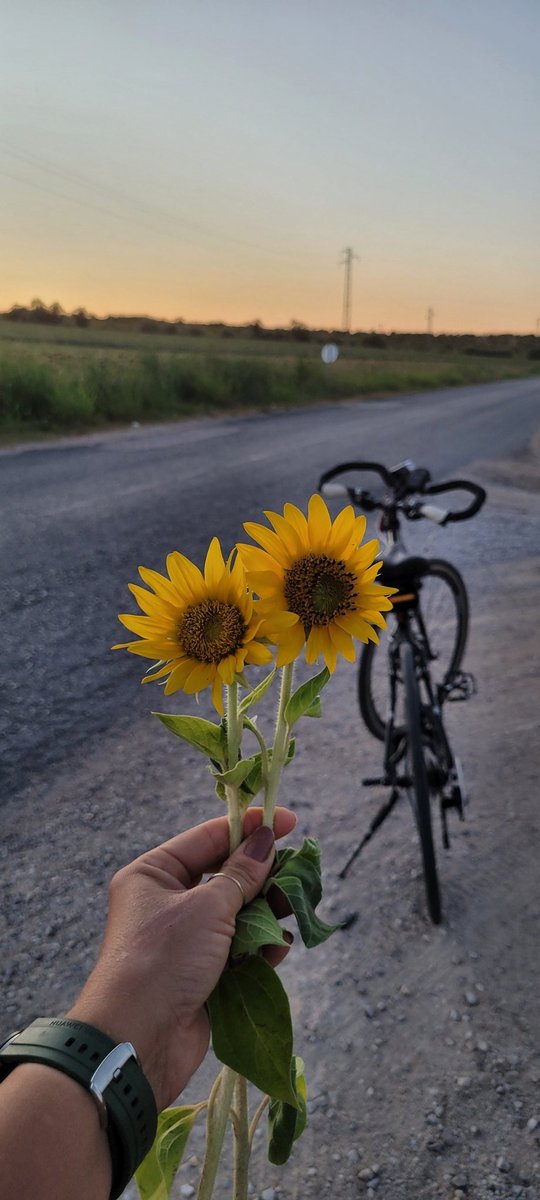 Gündöndü 🌻
#Kırklareli #Kırklarelibisiklet #bisiklet #arabadaninbisikletebin 
<a href="/kirklarelibsklt/">KırklareliBisiklet</a> ❤️