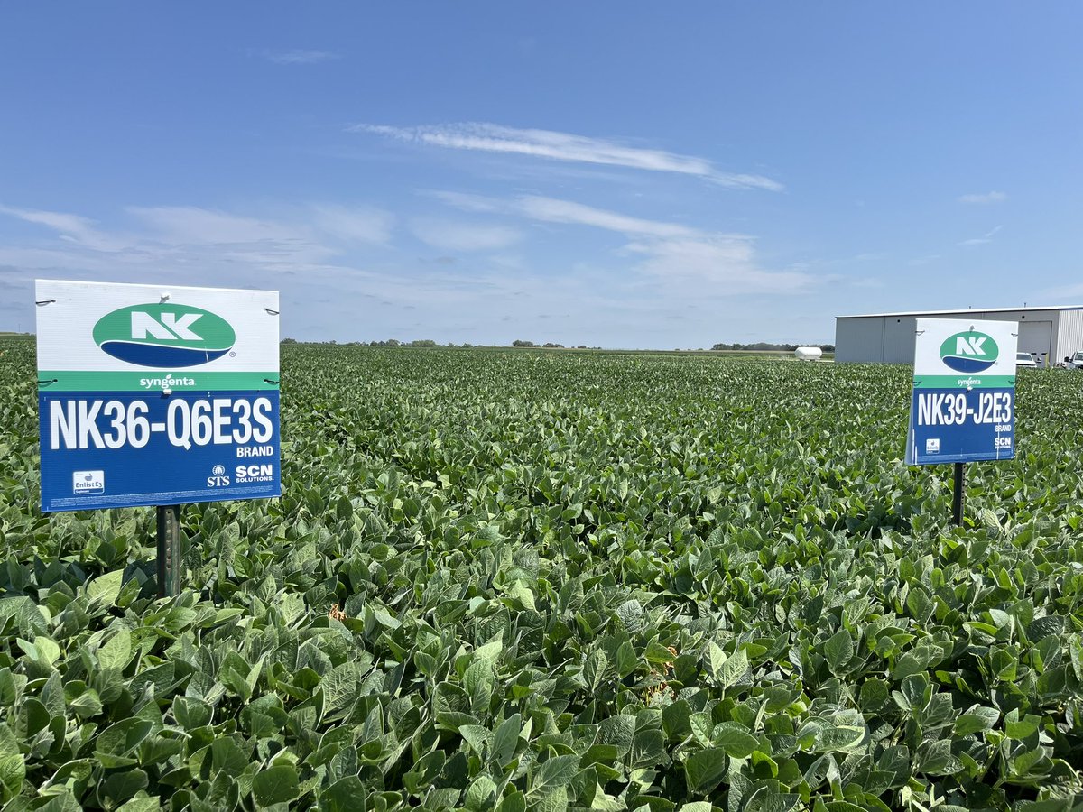 Mike Egger tweet media