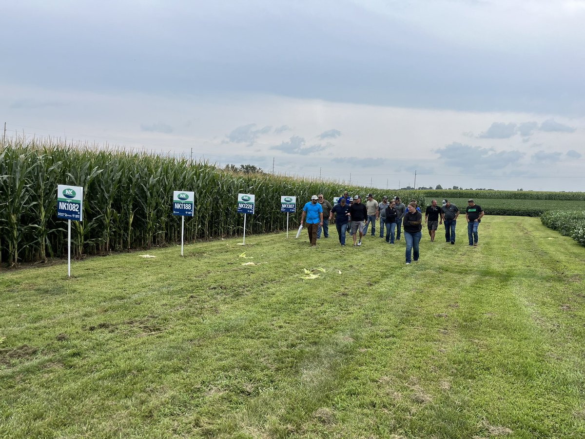 Mike Egger tweet media