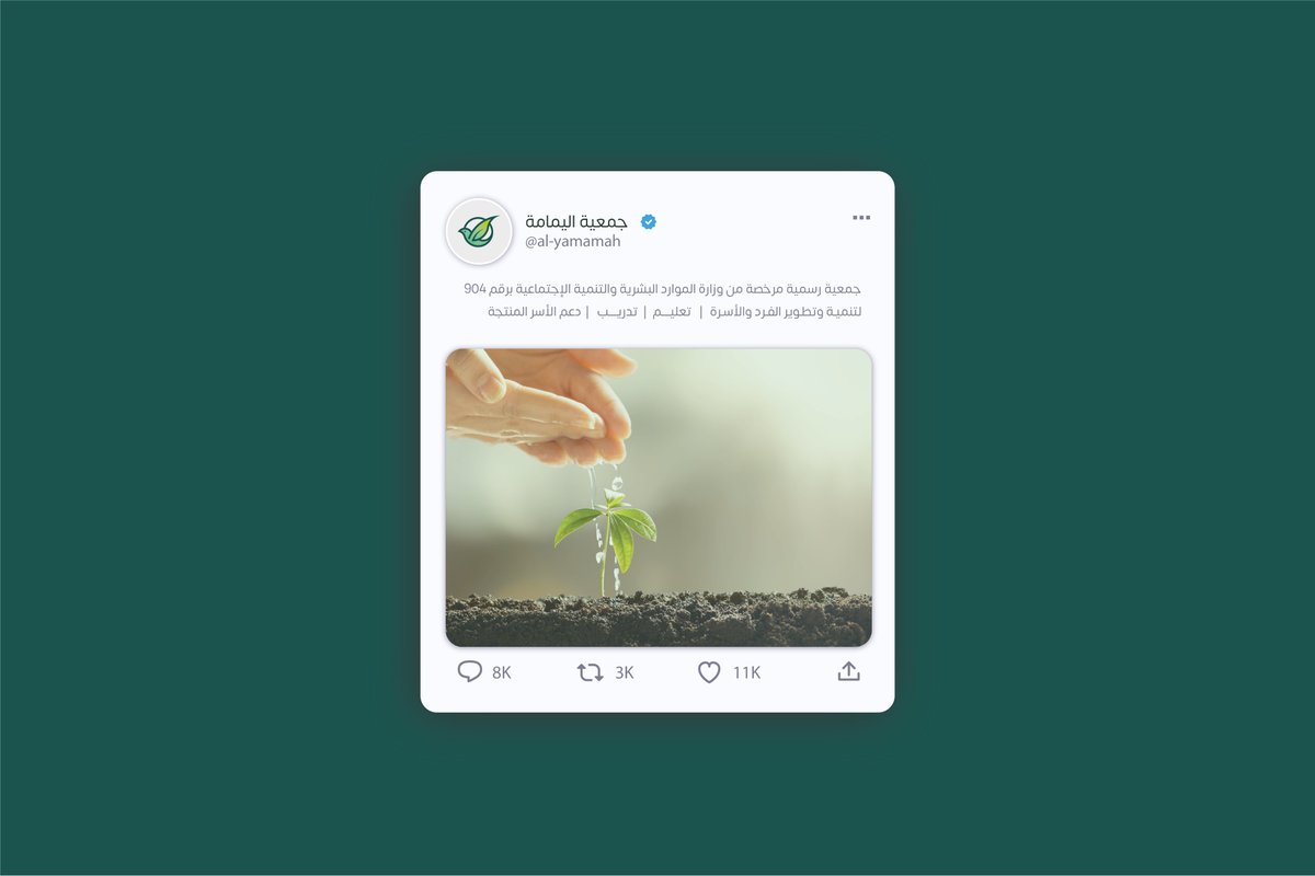 محمد التركي tweet media