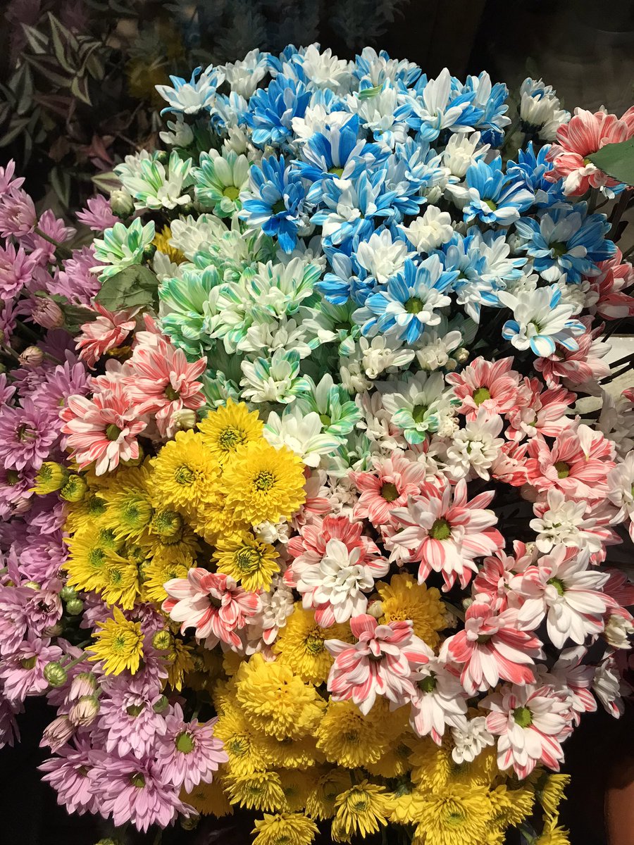 melisaydmr23's tweet photo. 🌷💗🌈✨ #myframe https://t.co/5YFPcY8mGe
