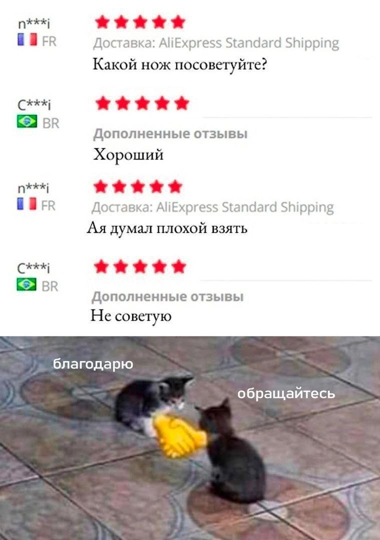 Иван Цепеш (@aperigator3) on Twitter photo 