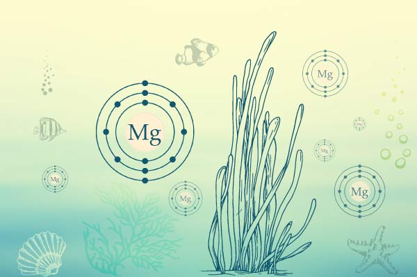 DrRathResearch's tweet photo. Are You Taking Enough Magnesium? 
https://t.co/MfOFqaxsNT
#magnesium #health #drrath #heathresearch https://t.co/OrORdAGkaJ