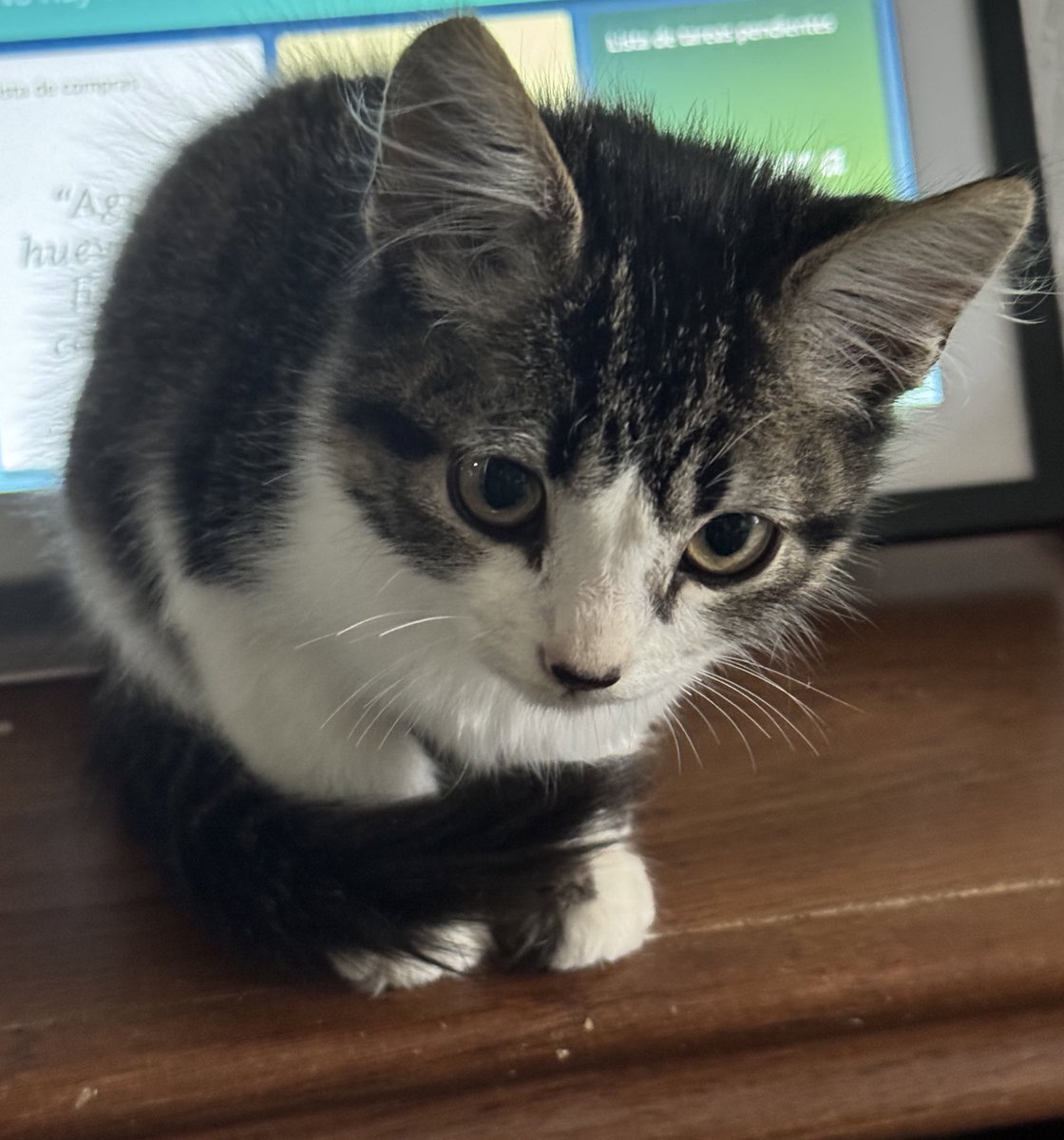 Hace 4 días / Hoy 😁💛