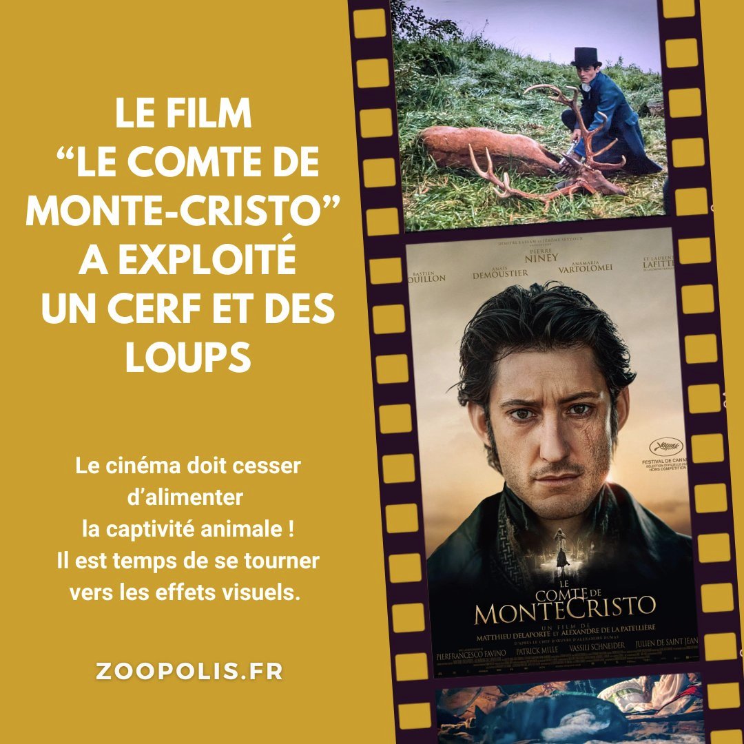 ChasseAbolition's tweet image. #Film #LeComteDeMonteCristo #PierreNiney #AnaïsDemoustier #AnamariaVartolomei #laurentLafitte  #BastienBouillon #MatthieuDelaporte #AlexandreDeLaPatellière 

via  @paz_zoopolis