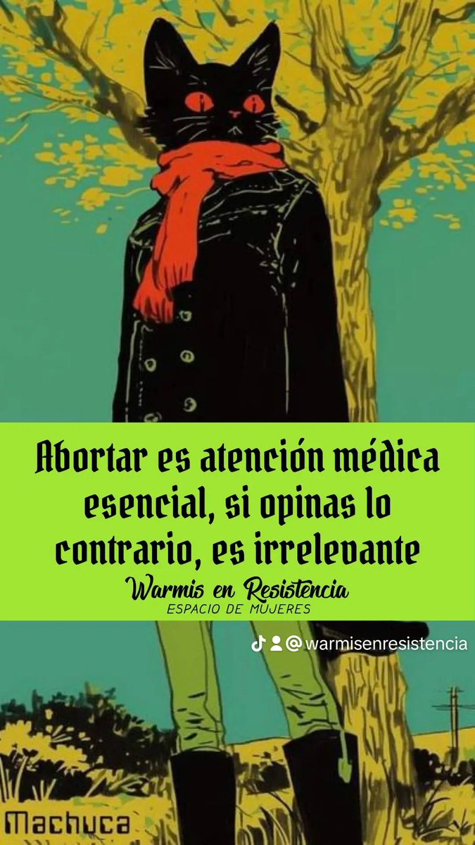 WarmisR's tweet photo. El aborto permite a las personas construir el mejor futuro para ellas mismas, y tomar control sobre, cuándo, o cómo crear sus familias.

#TodasAbortamos #AbortoLibre #AcompañarEsAmor #TúDecidesYoAcompaño #Feminismo https://t.co/GjUdBAVzyO