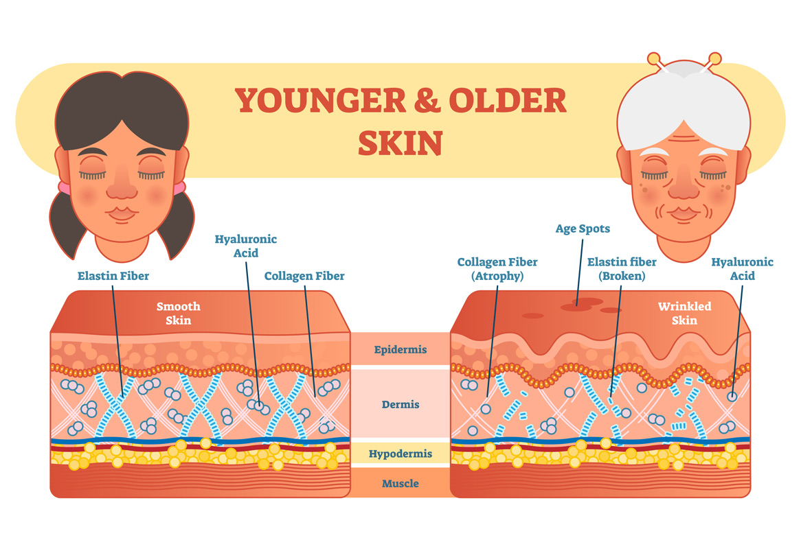 DrRathResearch's tweet photo. Natural Ways to Maintain Healthy Glowing Skin https://t.co/qq0tr0LaSX

#skin #hair #healthgrowth #growth #hairgrowth #young #youngskin https://t.co/d8oFNfptQ9