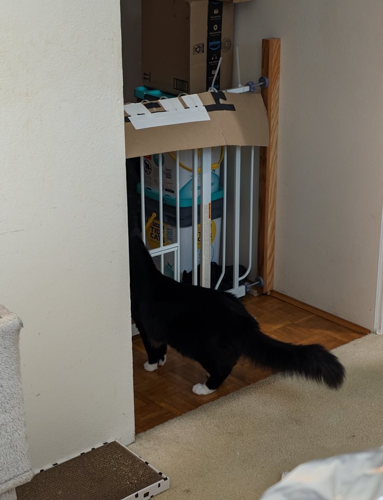 The "bro was lonely while I was on my trip" starter pack