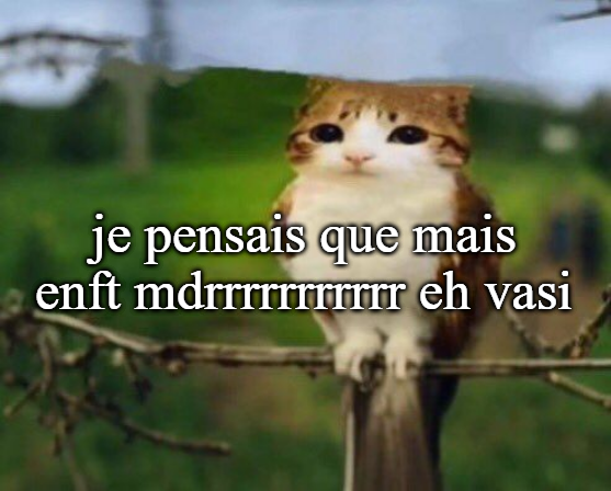 tobismileychat's tweet image. 