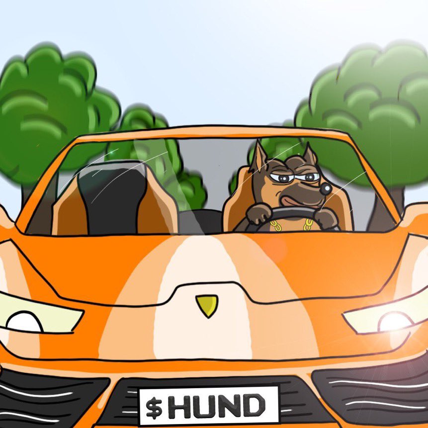 No $hund , no lambo.