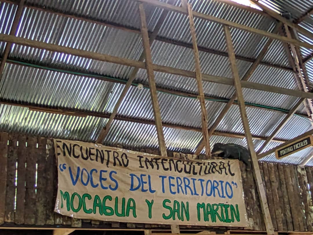 #ConversacionesdelaAmazonia
2024.
Por la defensa intercultural de los territorios indígenas.
#Amazonia
instagram.com/reel/C-Yx3baON…
