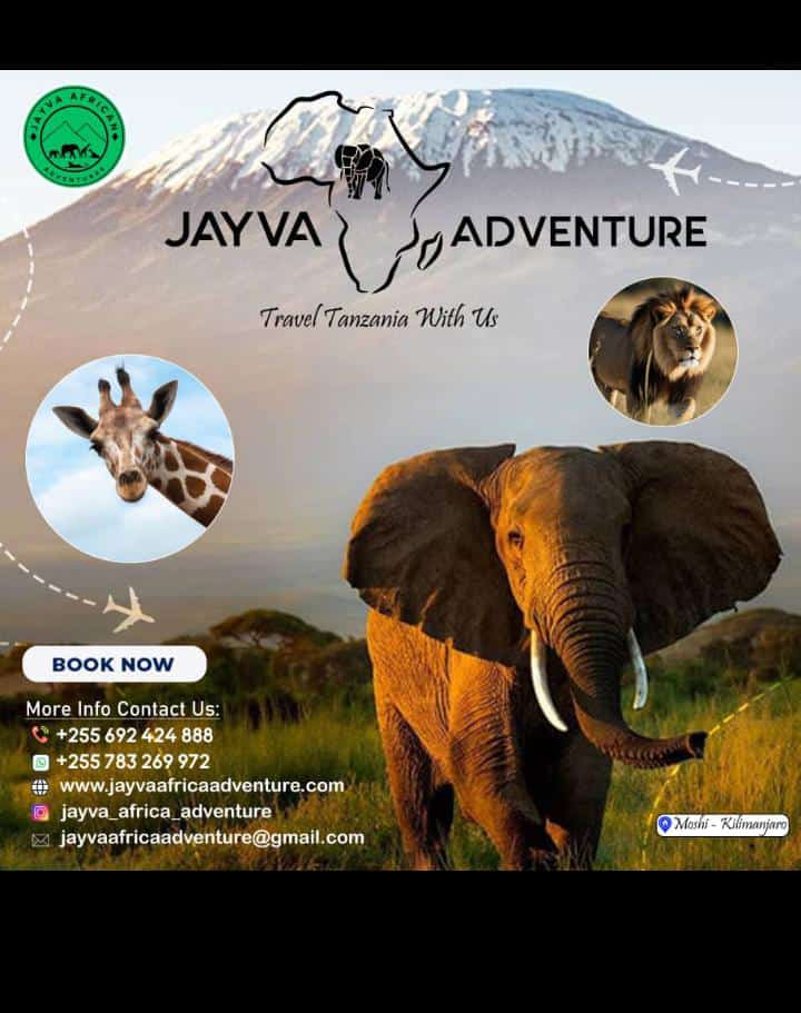 Wherever you are, travel with us. Booking now. High qualified tour guide as safari guide, as mountain guide. We are accomplish your wishes. Birds, mammal's , plants, historical sites, archeological, areas, marine tour. All standard accommodation is available. Feel Better