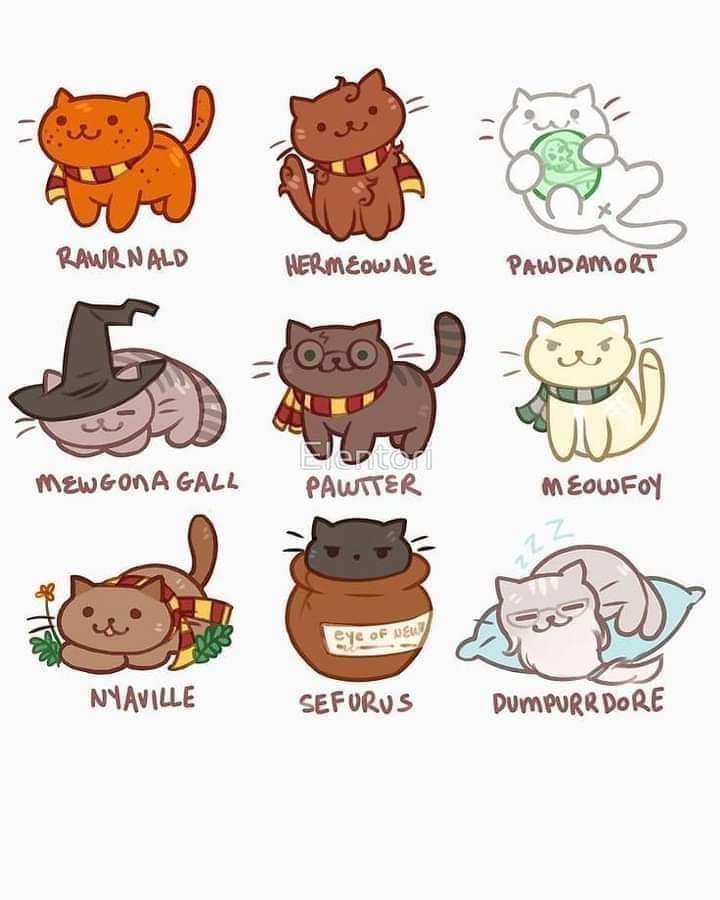 LestrangeGabs's tweet photo. Feliz Día Internacional del Gato 😻🐾

Feliz día michis del mundo mundial 😻😺😸😼🐱🐈🐈‍⬛
#DiaInternacionalDelGato https://t.co/BJfFYUvOzJ