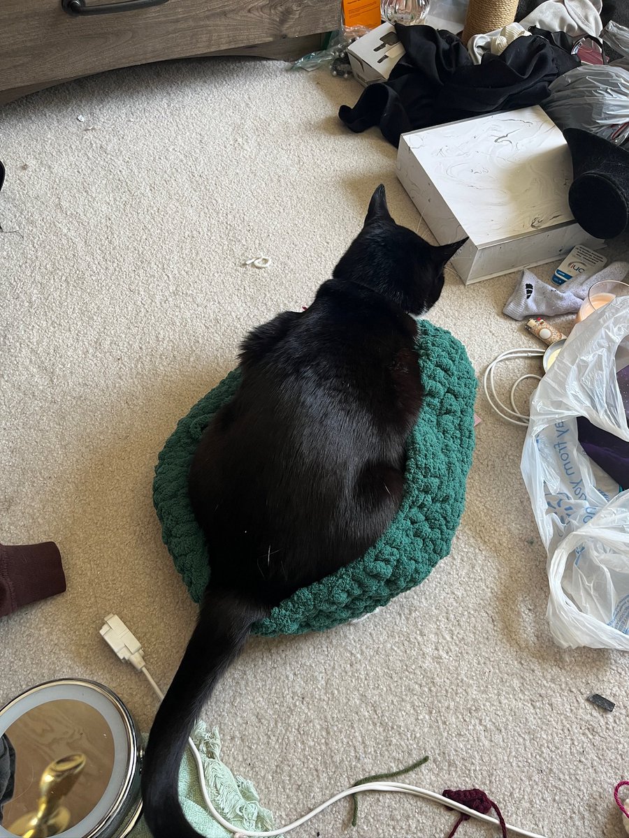 i tried to crochet a cat bed for my cat and i accidentally made it too small but he's still trying to sleep in it and i'm 😭😭😭😭😭😭😭😭😭