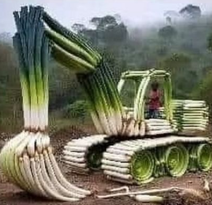 Feeras 💃 (hiatus) #ThankYouToriyama┃PlayingAC1 tweet media