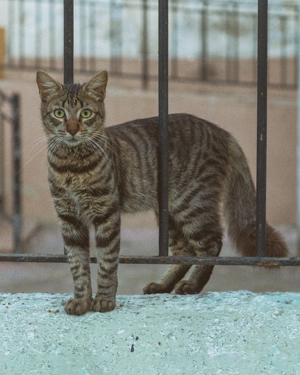 el.q.aprieta.el.botoncito (@eldlacamarita) on Twitter photo 