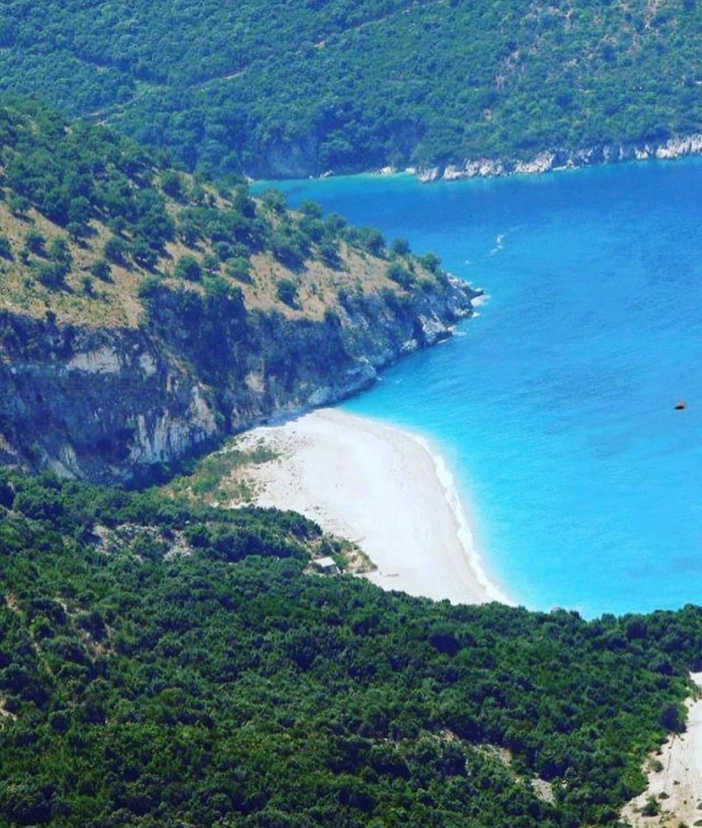 Krorez Bay tweet media