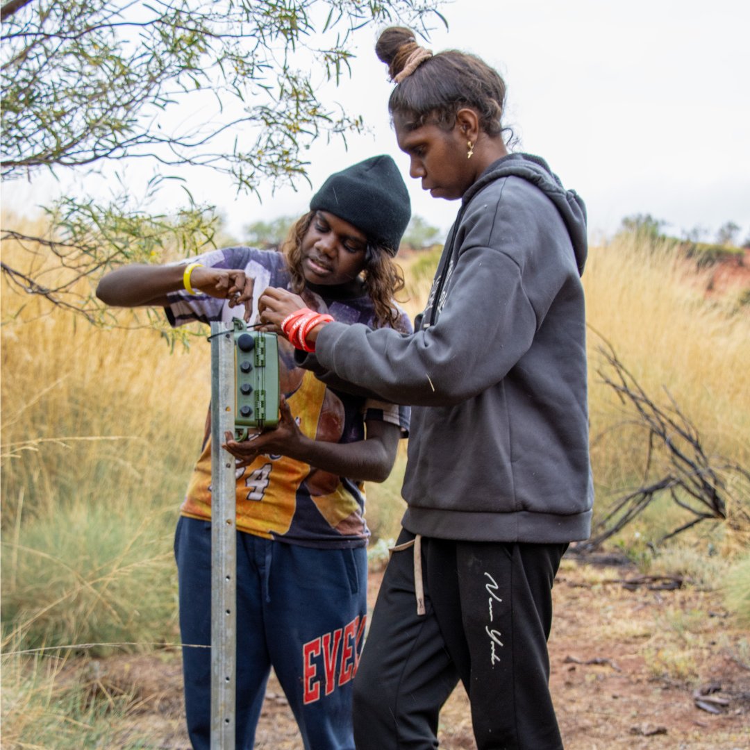 It's #NationalScienceWeek! This year's theme highlights the role of science in #SpeciesSurvival. Shoutout to #KJMartuRangers for 15+ yrs of collaborating with scientists to combine traditional Martu knowledge with western science to protect endangered species across #MartuCountry
