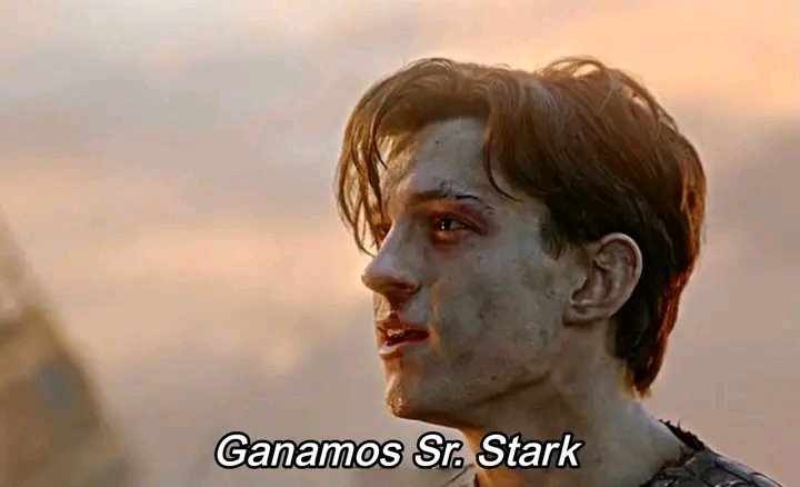 Gerardo Steinfeld tweet media