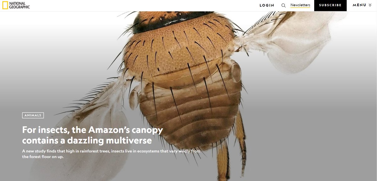 We need to communitcate our science and the amazing work that taxonomists are doing to understanding the biodiversity of the planet - <a href="/AmorimDdS/">Dalton de Souza Amorim</a> , <a href="/BrianVBrown1/">Brian V. Brown</a> et al work was highlighted in <a href="/NatGeo/">National Geographic</a> 

#FlySchool24

nationalgeographic.com/animals/articl…