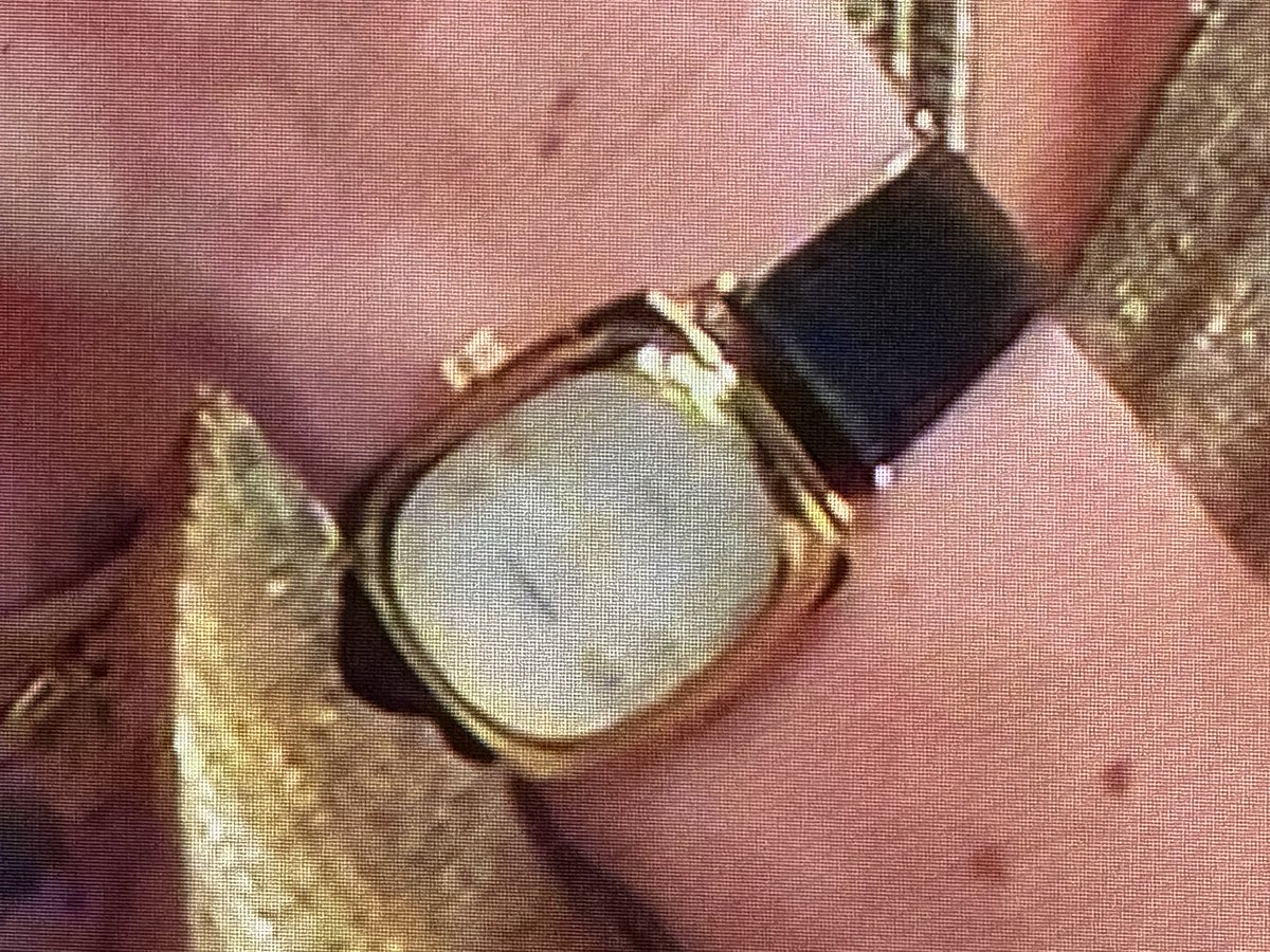 FilmFernando's tweet photo. Watching Triple Threat, my wife is wondering what watch are you wearing @ChefBrookeW??? https://t.co/qYD7J3PO7a