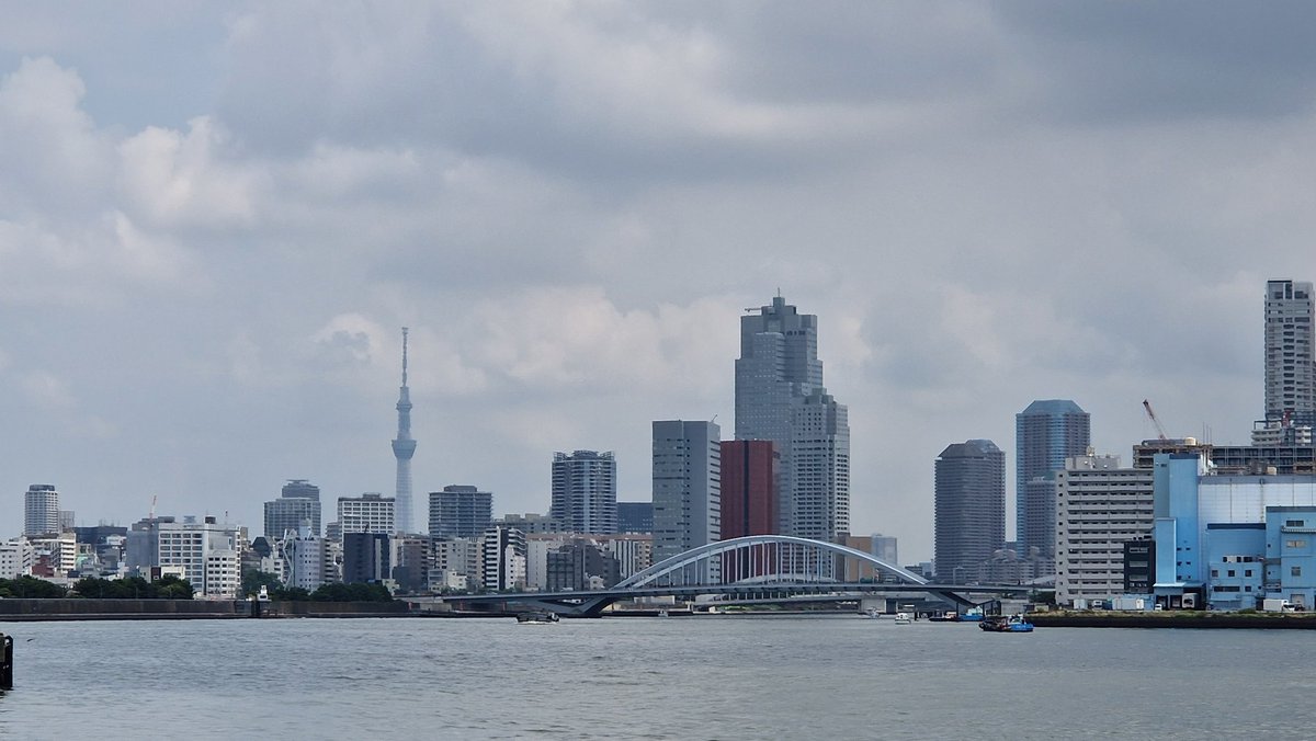 RobertoMinella's tweet photo. #Tokyo skyline https://t.co/9ixAWXQKg5