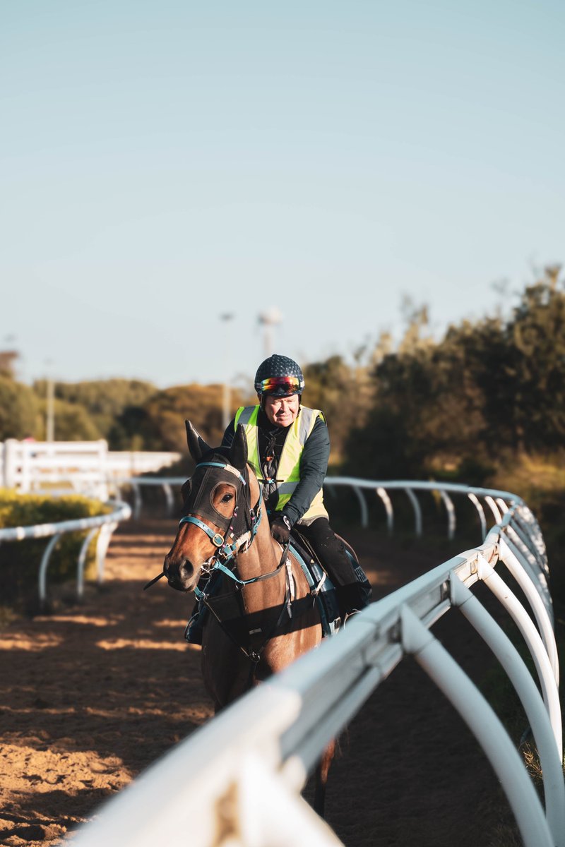 Ciaron Maher Racing tweet media