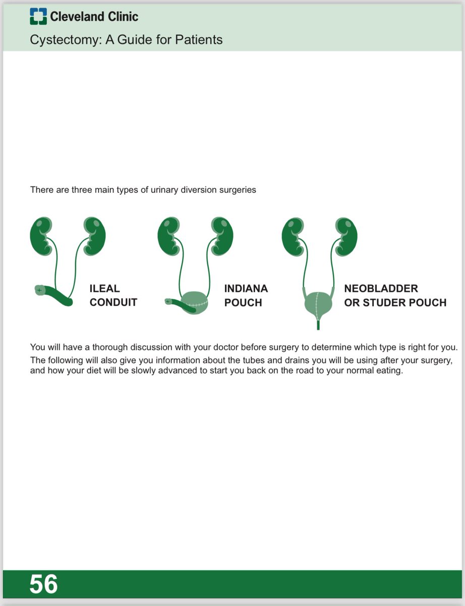 Laura Bukavina tweet media