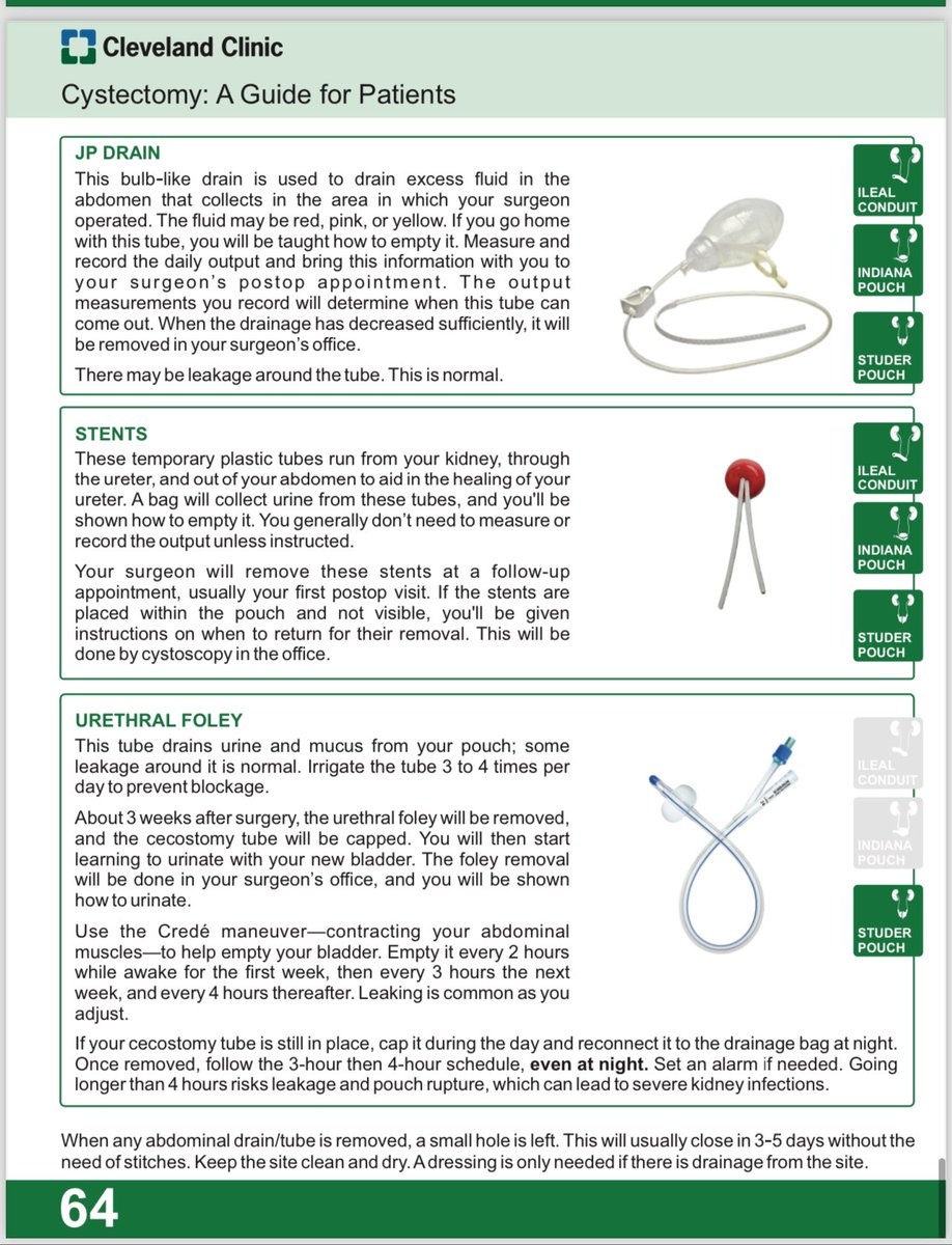 Laura Bukavina tweet media