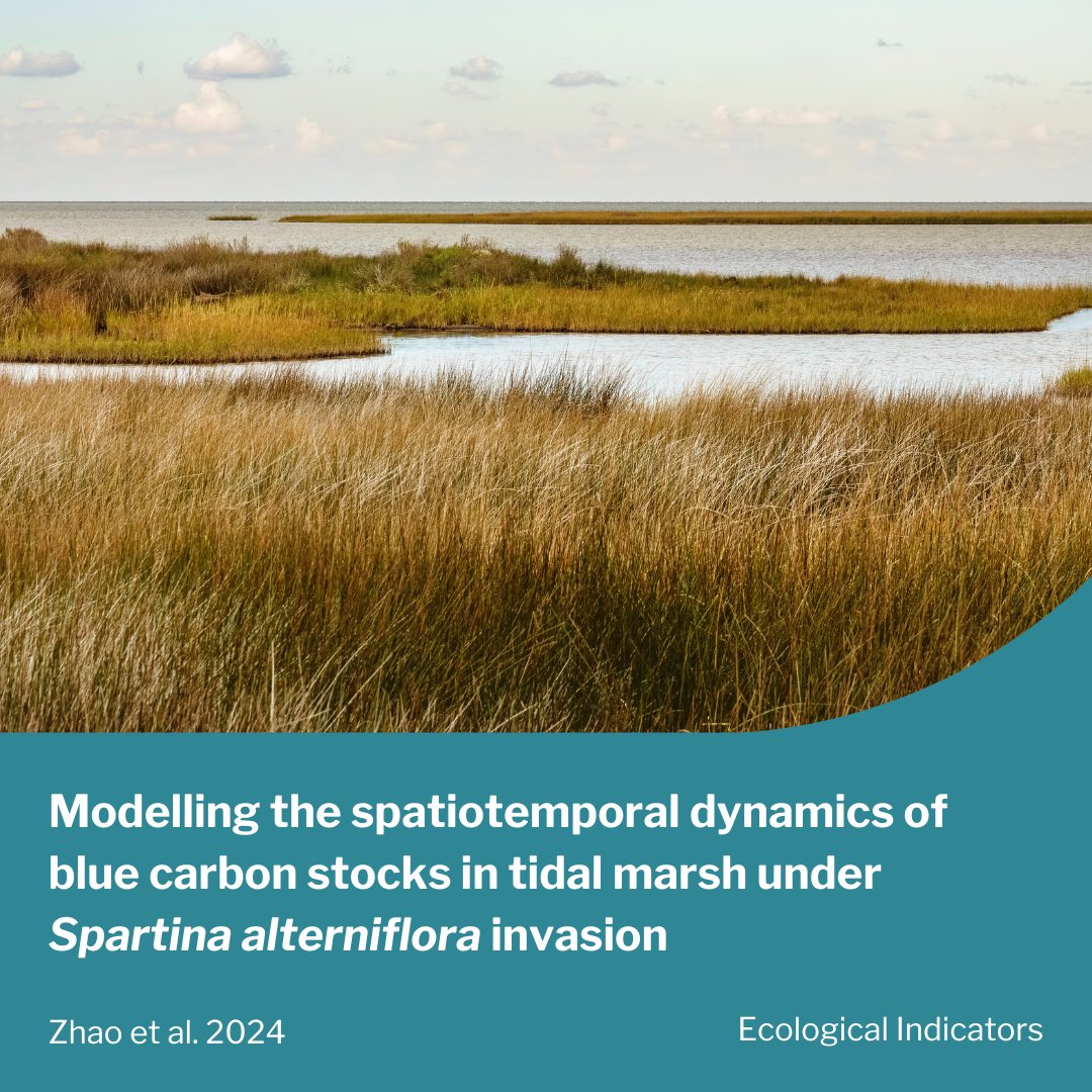 Blue Carbon Lab tweet media