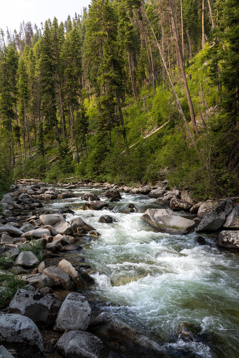 montana_chip's tweet image. Idahos back country this summer 

#sonya7iii #idaho #idahome @SonyAlpha